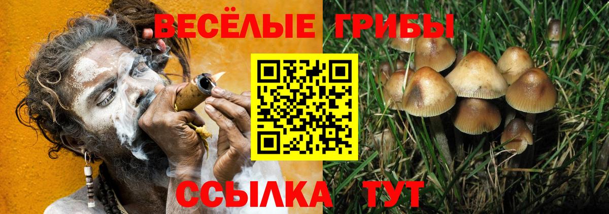 Псилоцибиновые грибы мухоморы Протвино