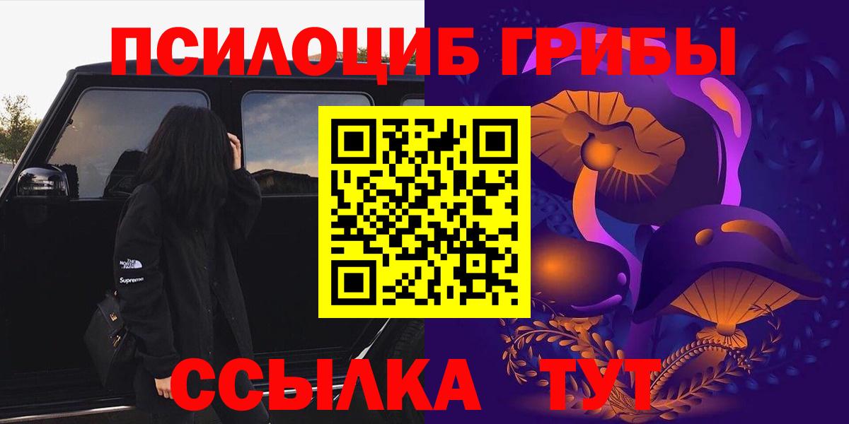 Протвино  Псилоцибиновые грибы Psilocybe  Вход с VPN  Галлюциногенные грибы Psilocybe 